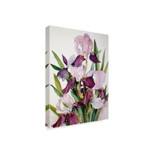 Joanne Porter 'Pink Maroon Iris' Canvas Art,14x19
